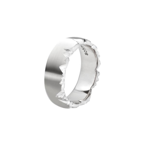 Alpen Ring